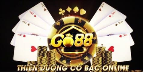 Banner saccie.com